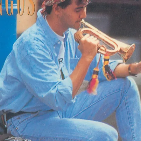 花瓣雨 歌词 - 童安格