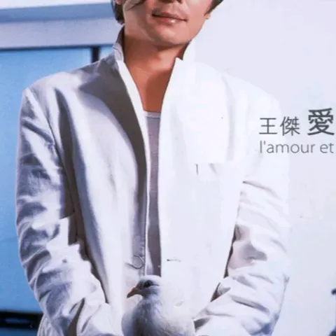 我是真的爱上你 歌词 - 王杰