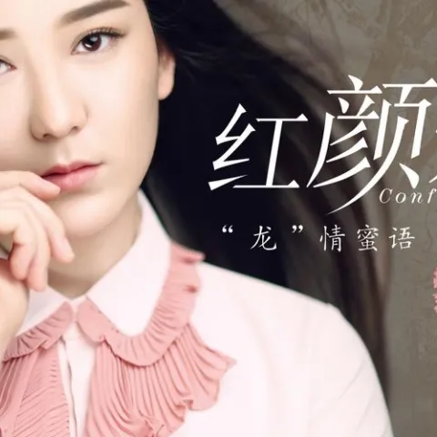 勿忘你 歌词 - 龙梅子 / 高安