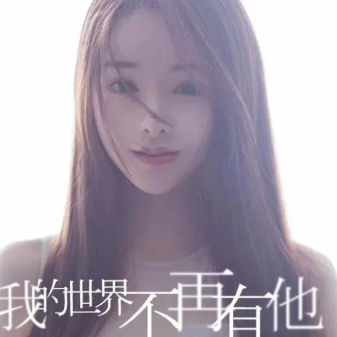 我的世界不再有他 歌词 - 胡淑雅