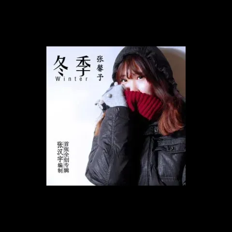 雪的回忆 歌词 - 张等等