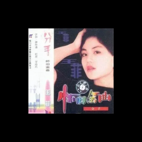 分手 歌词 - 王菲