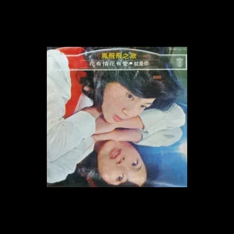 流水年华 歌词 - 凤飞飞/陈思安/千百惠