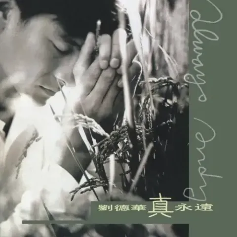 真的爱着你 歌词 - 刘德华