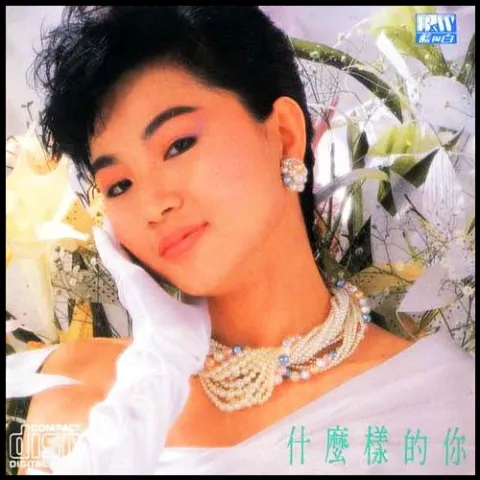 什么样的你 歌词 - 凤飞飞