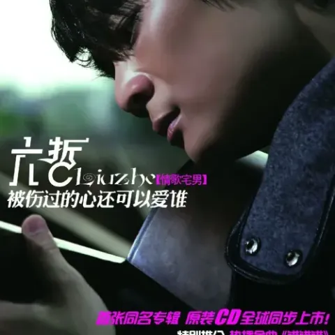  被伤过的心还可以爱谁 歌词 - 六哲