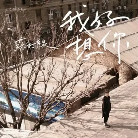 我好想你 歌词 - 徐佳莹 /苏打绿