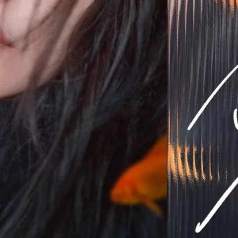 念念不忘 歌词 - 张靓颖 电影《念念相忘》主题曲 (原曲《the truth that you leave》)