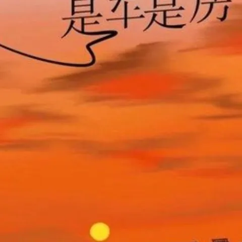 理想是车是房 歌词 - 杜天宇