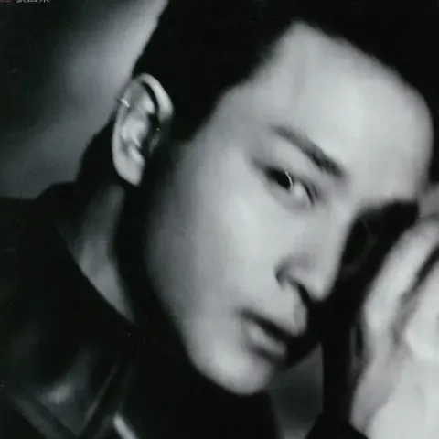 怪你过份美丽 歌词 - 张国荣