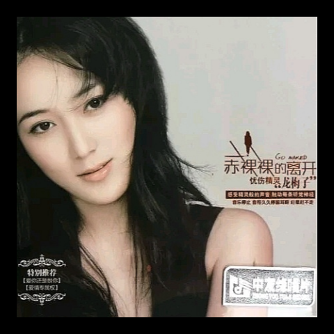 走天涯 歌词 - 龙梅子 /降央卓玛