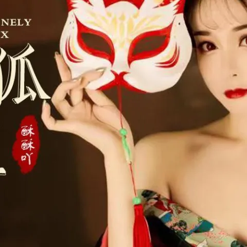 孤独的狐狸 歌词 - 胡淑雅