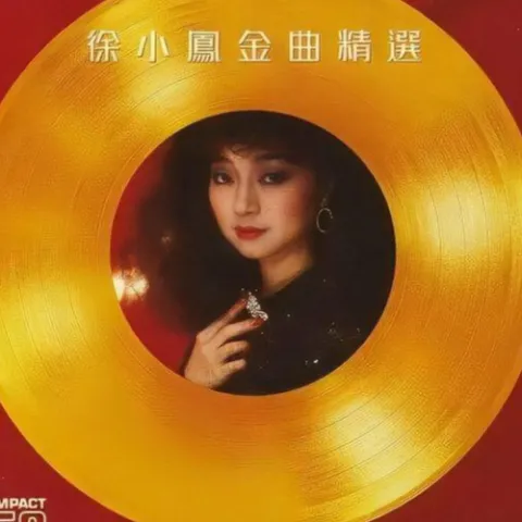 情比雨丝 歌词 - 徐小凤