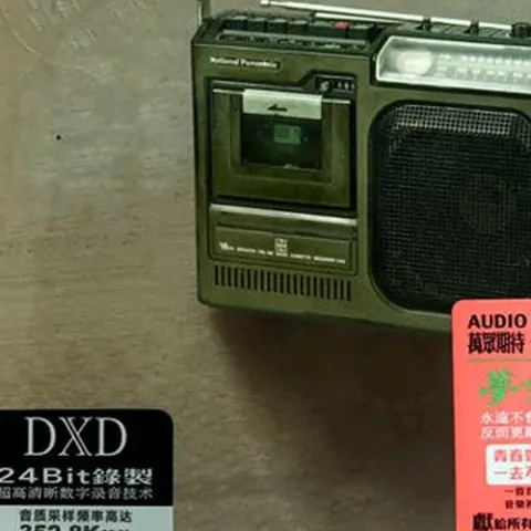 是否我真的一无所有 歌词 - 王杰 电影《飚城》主题曲