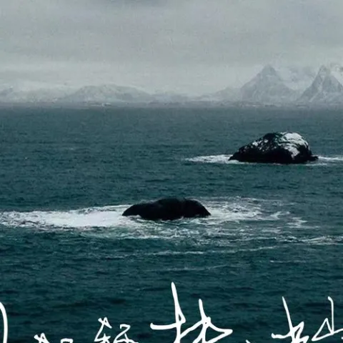 风轻轻拂过半山腰 歌词 - 诗生