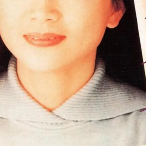 我是一片云 歌词 - 凤飞飞