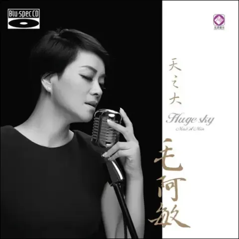 珍重 歌词 - 毛阿敏