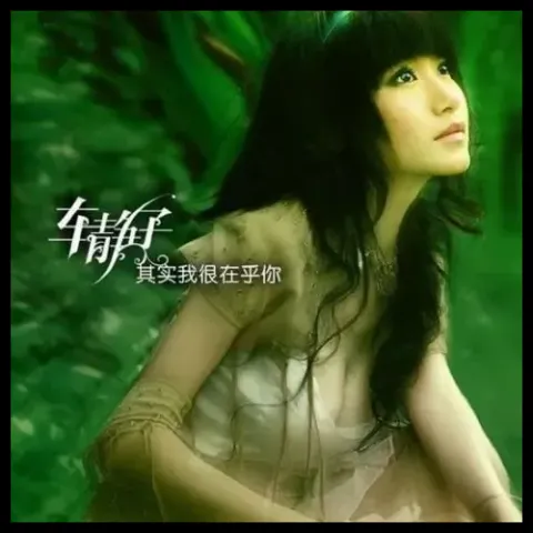 其实我很在乎你 歌词 - 车静子