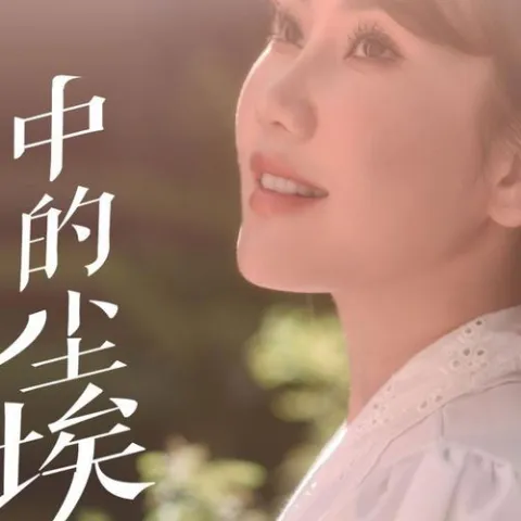 我是一粒风中的尘埃 歌词 - 覃诚芳