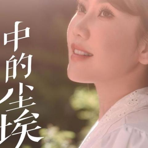 我是一粒风中的尘埃 歌词 - 覃诚芳