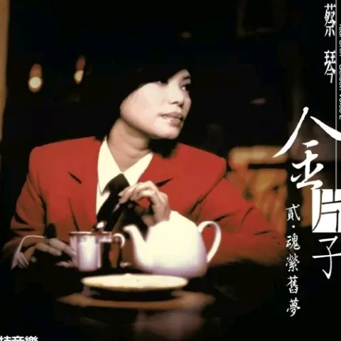 金片子.贰-魂萦旧梦