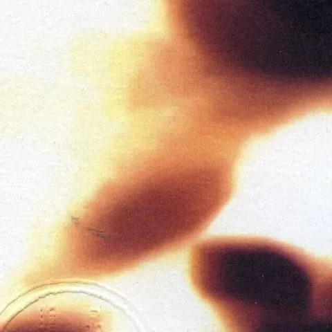 英雄泪 歌词 - 王杰