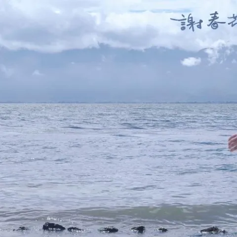 清醒点 歌词 - 谢春花