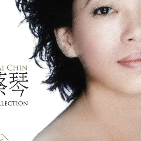 恰似你的温柔 歌词 - 蔡琴