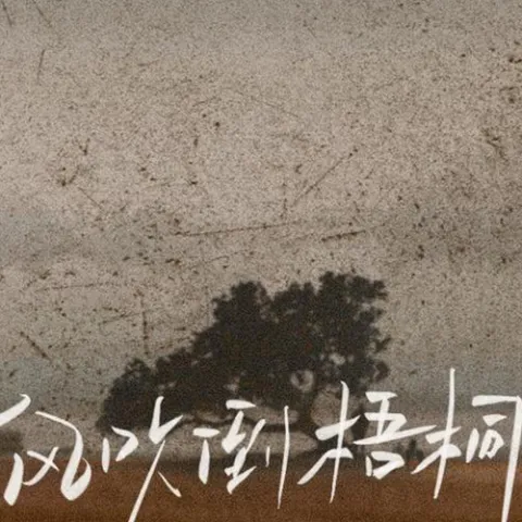 大风吹倒梧桐树 歌词 - 侯泽润