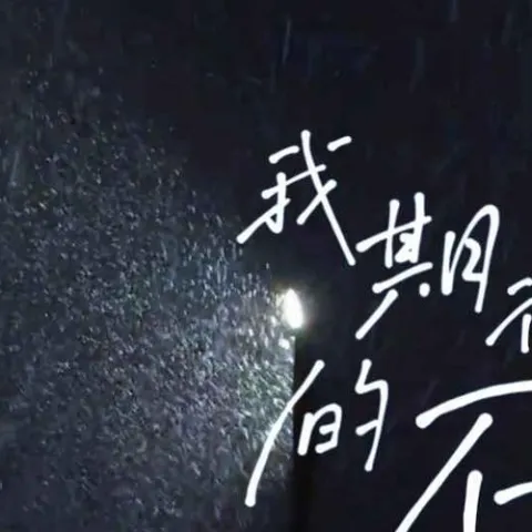 我期待的不是雪 