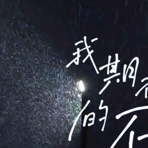 我期待的不是雪 