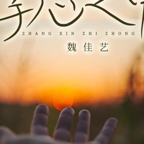 掌心之中