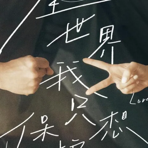 全世界我只想保护你