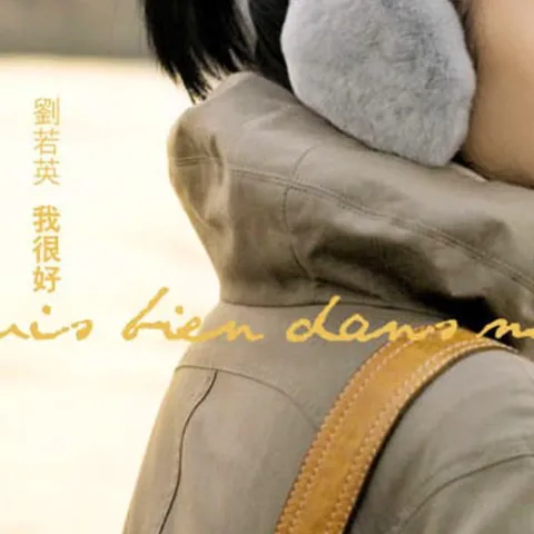 我很好 歌词 - 刘若英 电影《把爱找回来》中文预告曲