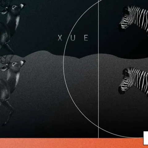 聊表心意 歌词 - 薛之谦 / 刘惜君