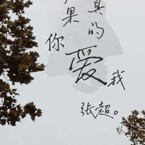 如果你真的爱我 歌词 - 张超