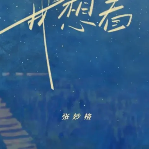 我想看 歌词 - 张妙格