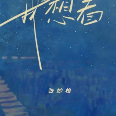 我想看 歌词 - 张妙格