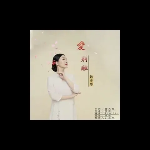 爱别离 歌词 - 韩冬华