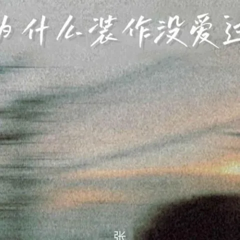 为什么装作没爱过 歌词 - 张妙格
