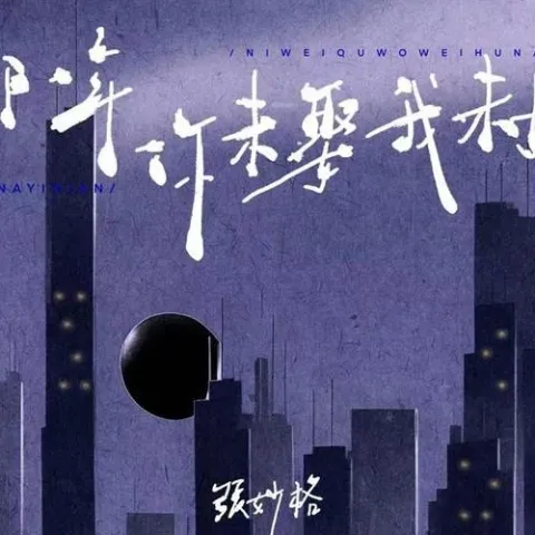 那一年你未娶我未婚 歌词 - 张妙格