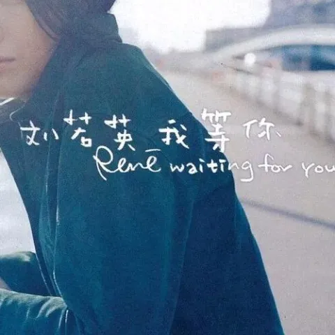 我等你 歌词 - 刘若英 电视剧《广东十虎》片尾曲