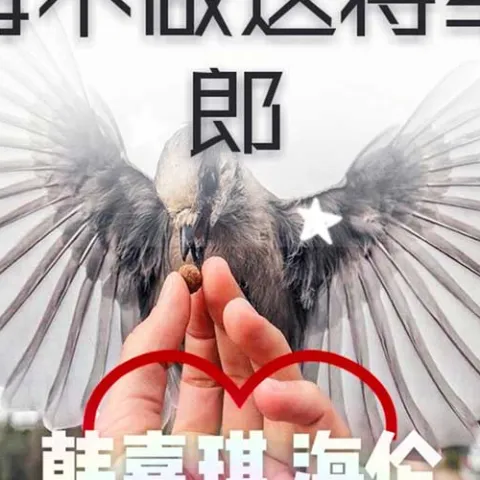 再不做这将军郎