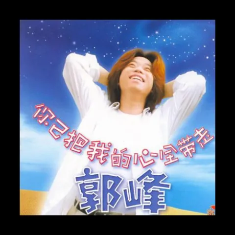 你已把我的心全部带走