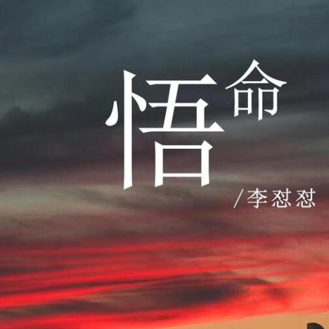 悟命