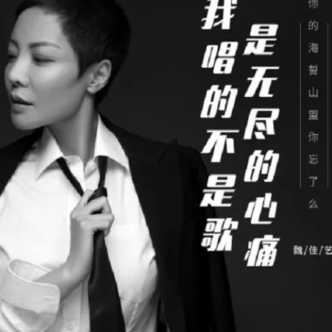 我唱的不是歌是无尽的心痛