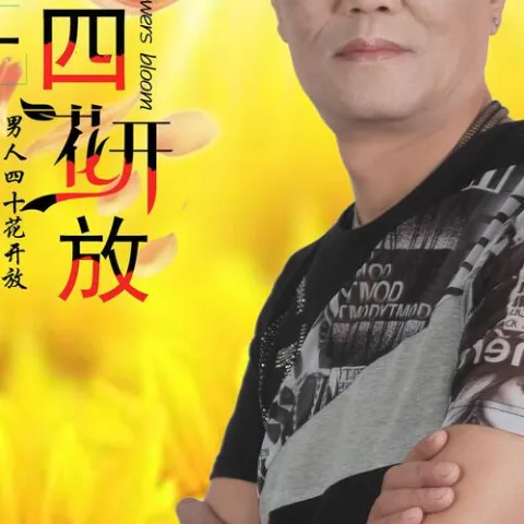 男人四十花开放DJ版