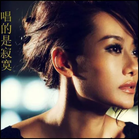 唱的是寂寞