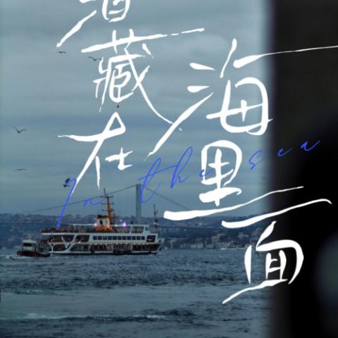 海里面
