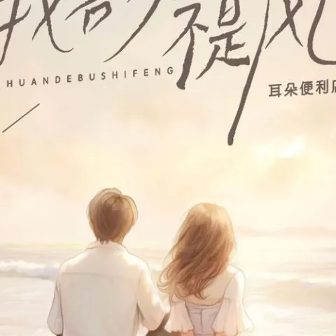 我喜欢的不是风